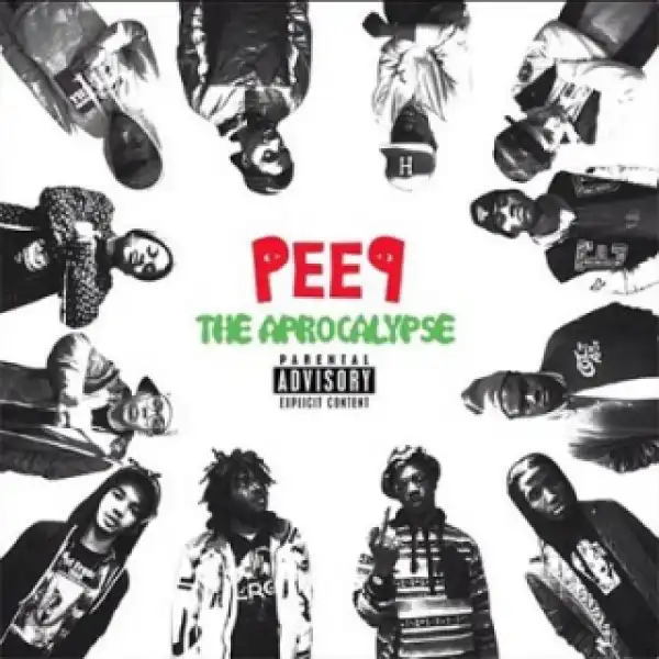 Instrumental: Pro Era - Bun N Cheese (Produced By Leekix)